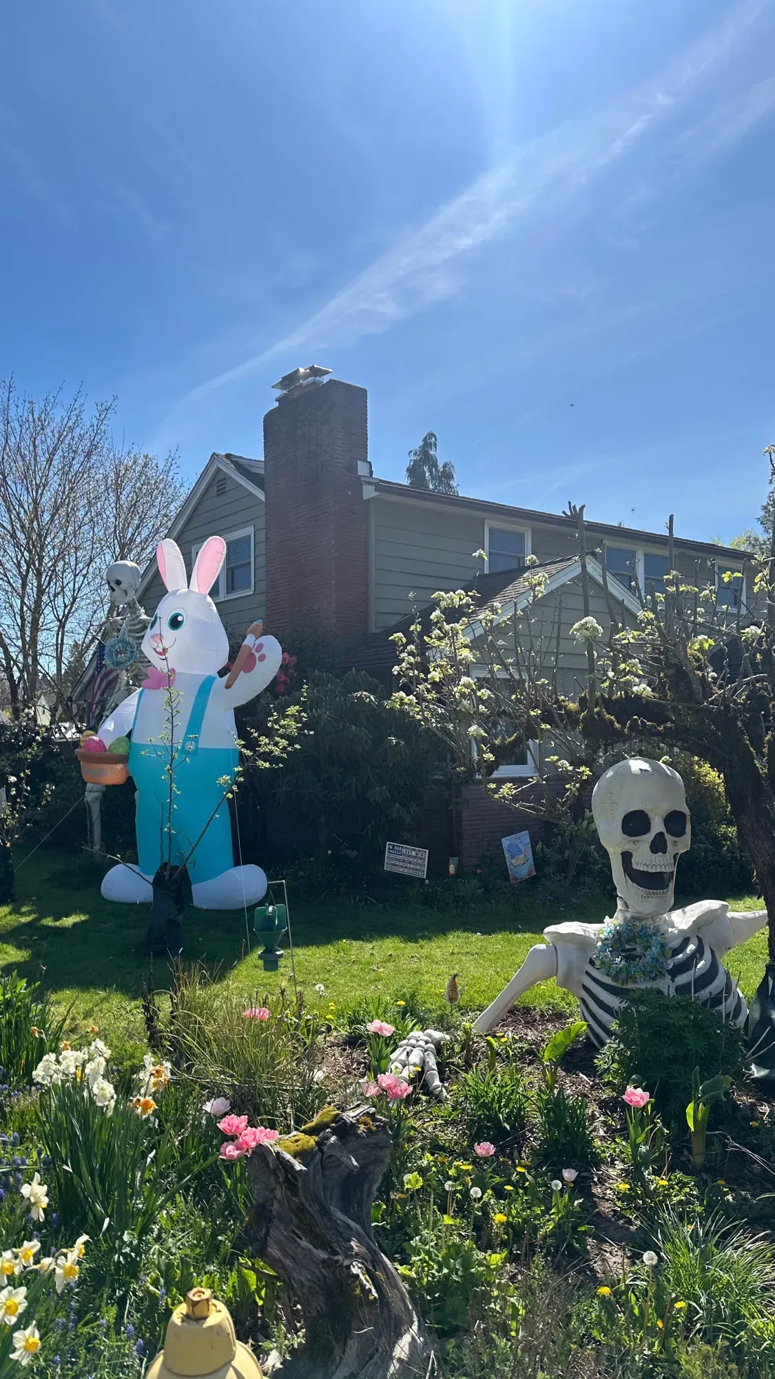 Yard decorations: very large blow-up Easter bunny and very large skeletons. 