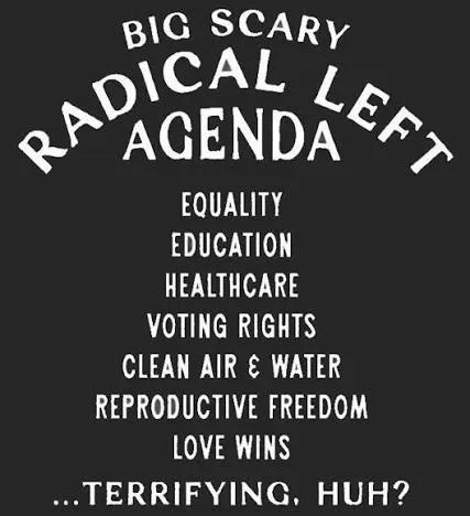 Graphic with white text on a black background reading: “Big Scary Radical Left Agenda” above a list that includes equality, education, healthcare, voting rights, clean air and water, reproductive freedom, and love wins, followed by the phrase “…terrifying, huh?” The design is intended sarcastically, suggesting these values are not actually frightening.