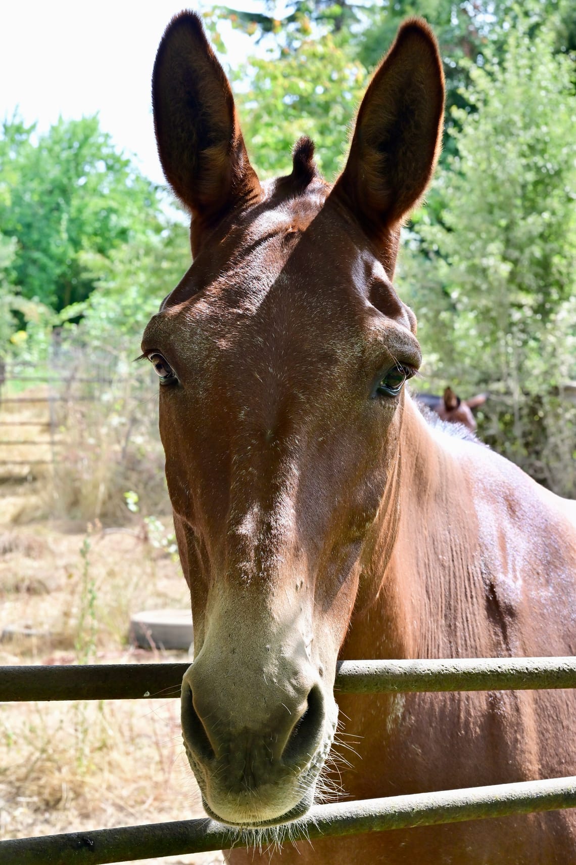 A Chance Encounter
