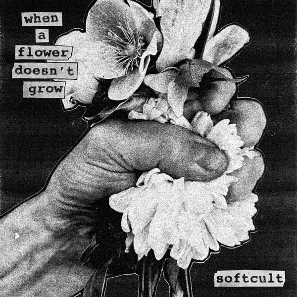 Naive — Softcult
