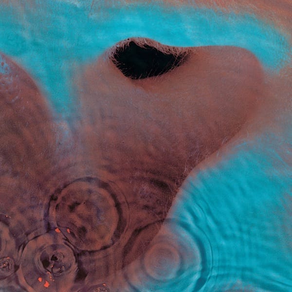 Fearless — Pink Floyd