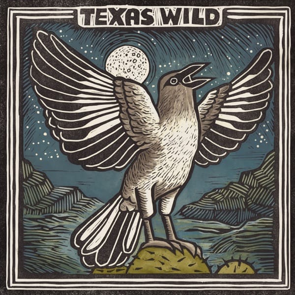True Love Will Find You in the End — Shakey Graves & Jess Williamson